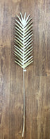 Dried Fern Leaf Pick (CAN NOT BE SHIPPED)