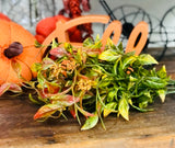 Fall Leaves Bush