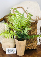 Fern Paper Pots