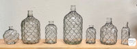 Chicken Wire Vase's