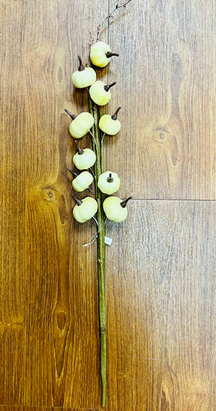 Cream Pumpkins Spray