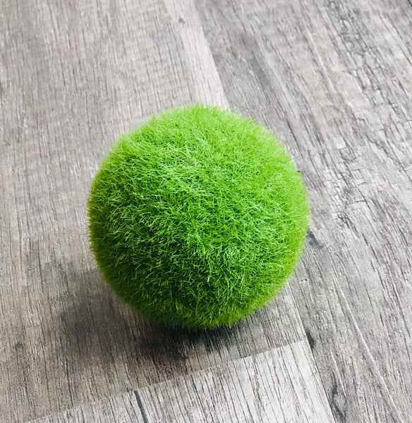 Moss Ball