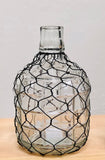 Chicken Wire Vase's