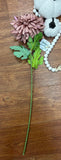 Fall Chrysanthemum Branch