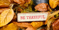 Be Thankful Block Sign