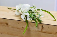 Wildflowers and Silver Dollar Collection