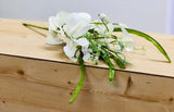 Wildflowers and Silver Dollar Collection